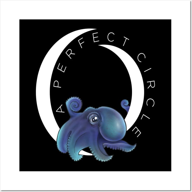 A Perfect Circle Baby Octopus Wall Art by jeffective
